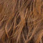 anima chocolate rooted